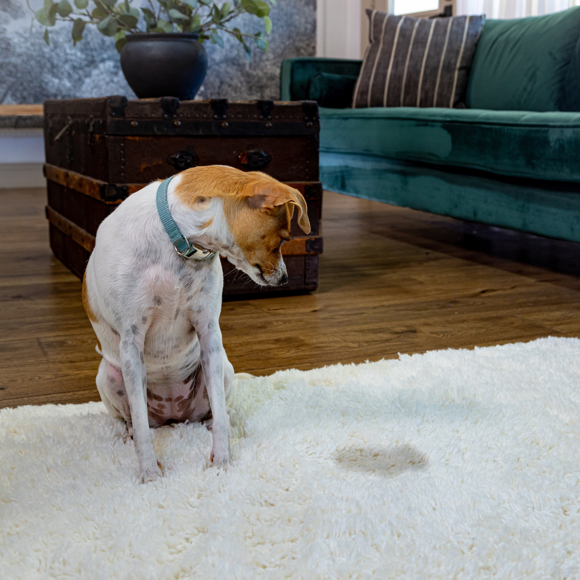 Kinderbean No Mess Stress Eraser