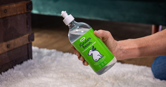 Why Pet Enzyme Cleaners Work the Best to Clean Up Dog and Cat Urine