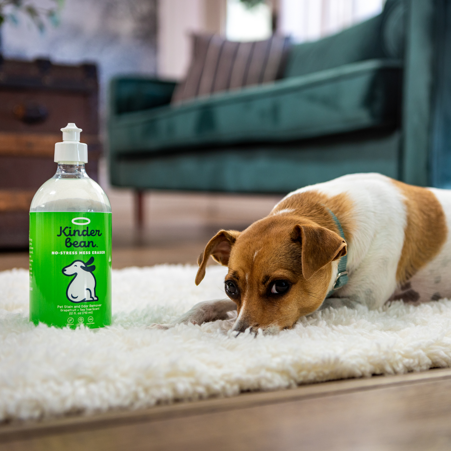 24 oz, 2 Pack Kinderbean Dog & Cat Urine Stain & Odor Eliminator